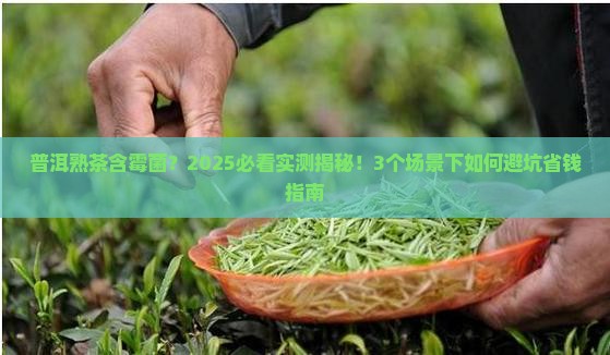 普洱熟茶含霉菌