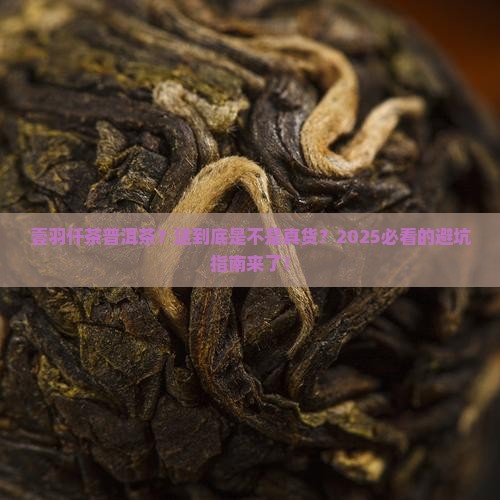 壹羽仟茶普洱茶