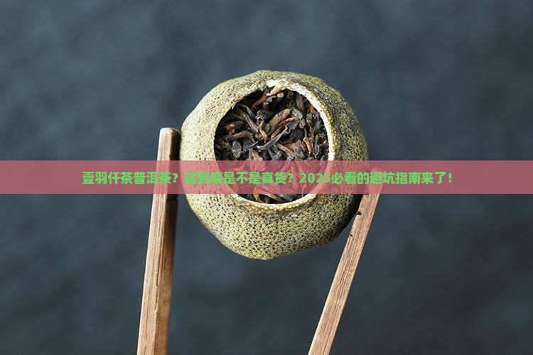 壹羽仟茶普洱茶