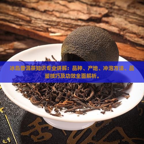 冰岛普洱茶知识专业讲解