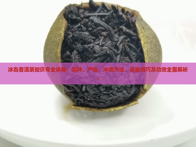 冰岛普洱茶知识专业讲解