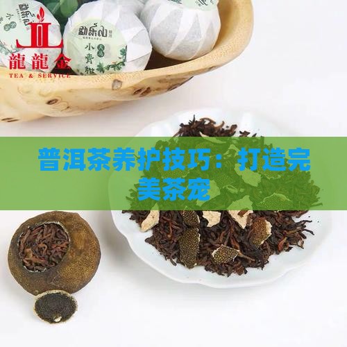 普洱茶养宠技巧