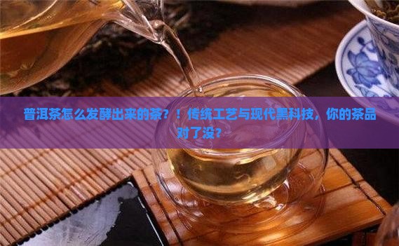 普洱茶怎么发酵出来的茶
