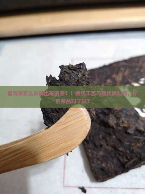 普洱茶怎么发酵出来的茶