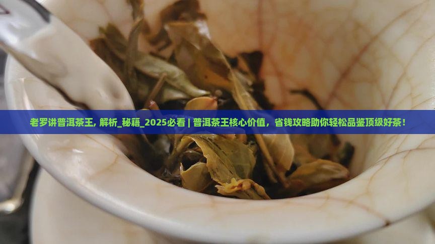 老罗讲普洱茶王