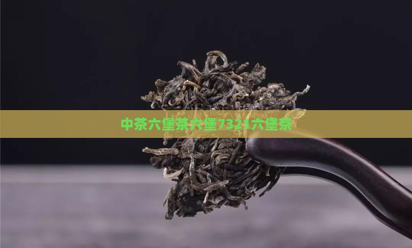 中茶7321六堡茶