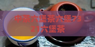 中茶7321六堡茶