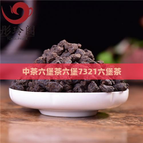 中茶7321六堡茶
