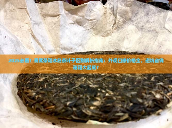 易武茶和冰岛茶叶子的区别