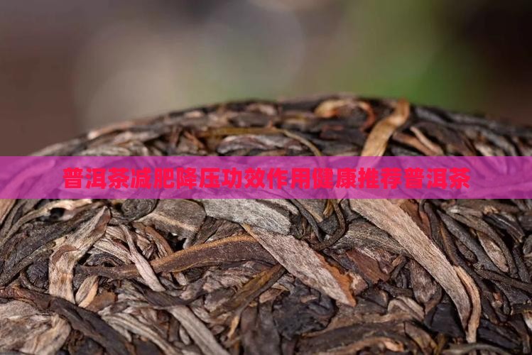 普洱茶可以减肥降压吗吗