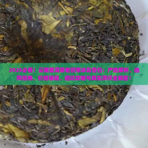 云南普洱茶老班章冰岛昔归
