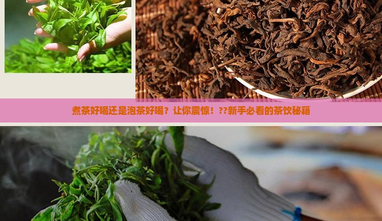 煮茶好喝还是泡茶好喝