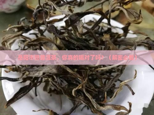 岳阳市熟普洱茶