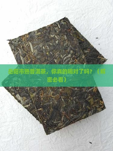 岳阳市熟普洱茶