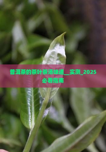 普洱茶的茶叶茶汤味道