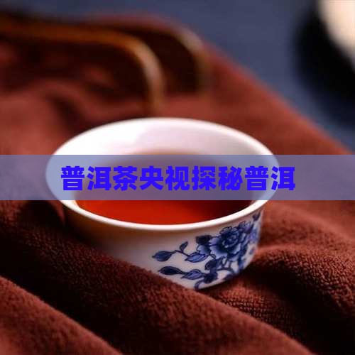 临沧普洱茶央视