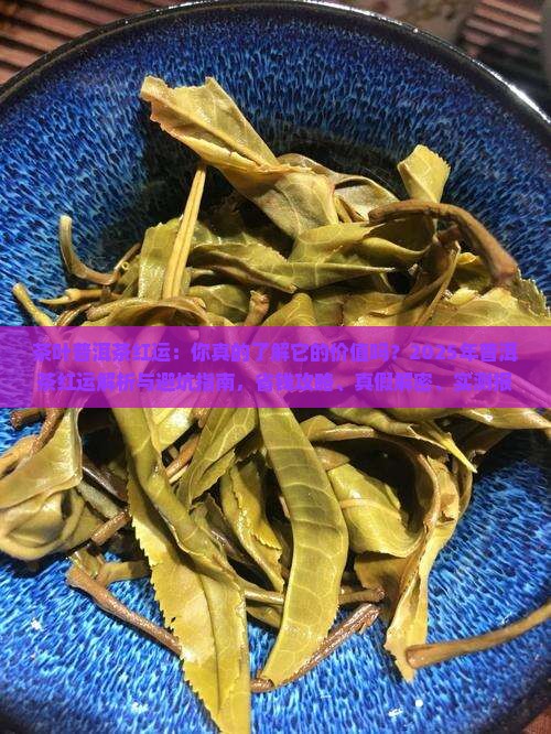 茶叶普洱茶红运
