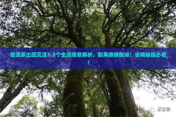 普洱茶出现沉淀