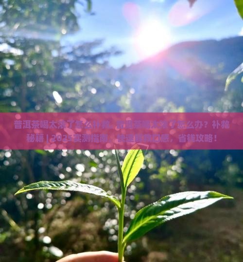 普洱茶喝太浓了怎么补救