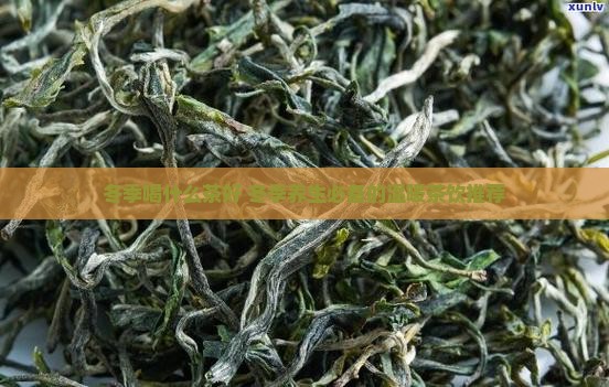 冬季喝什么茶好