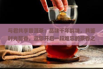与君共享普洱茶