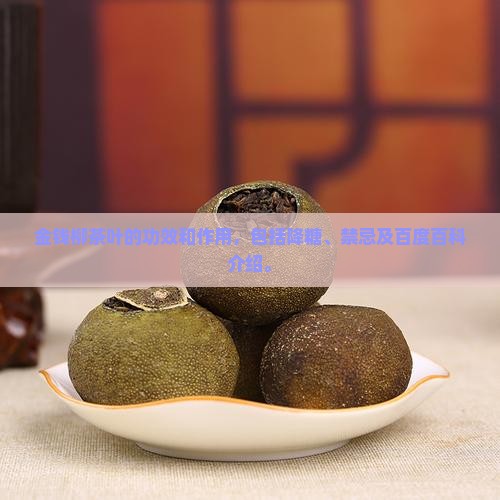 金钱柳茶叶的功效和作用
