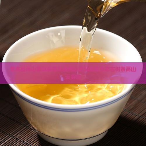 景东县两山普洱茶