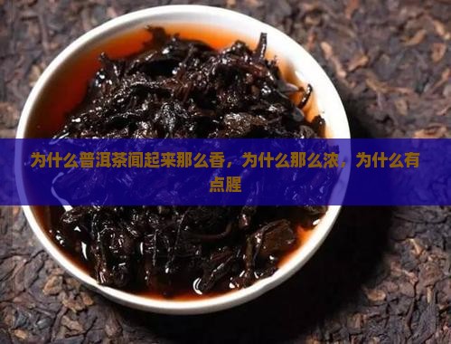 为什么普洱茶闻起来那么香