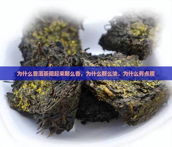 为什么普洱茶闻起来那么香