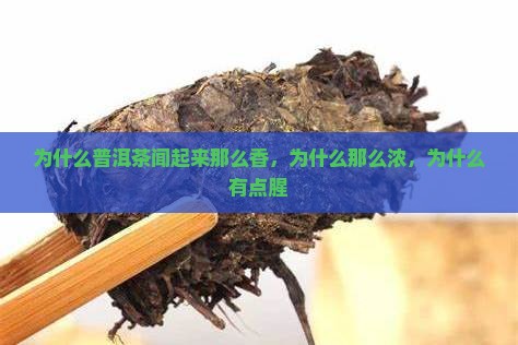 为什么普洱茶闻起来那么香