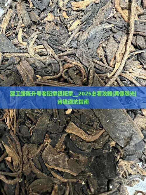 建工路陈升号老班章银班章