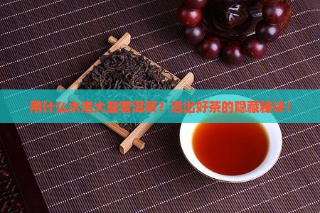 大益普洱茶用什么水泡
