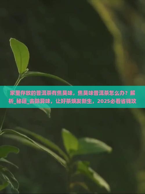 家里存放的普洱茶有焦臭味