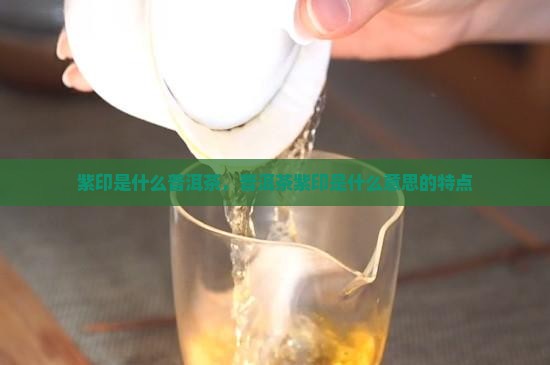 紫印是什么普洱茶