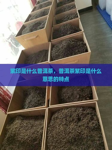 紫印是什么普洱茶