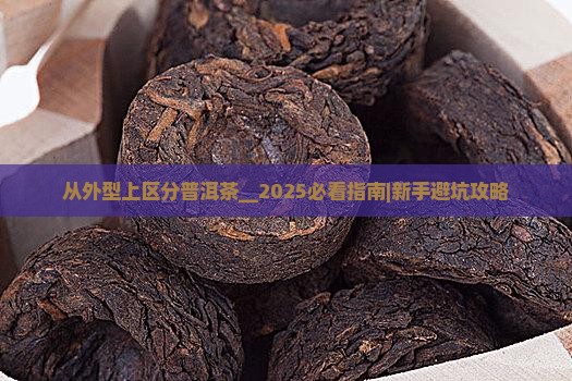 从外型上区分普洱茶