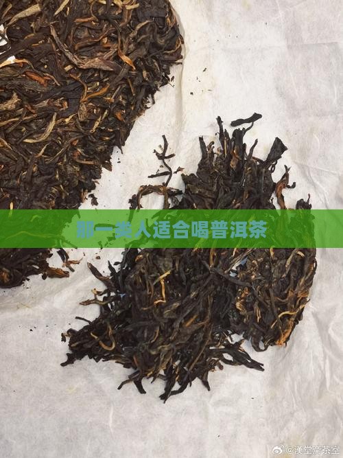 那一类人适合喝普洱茶