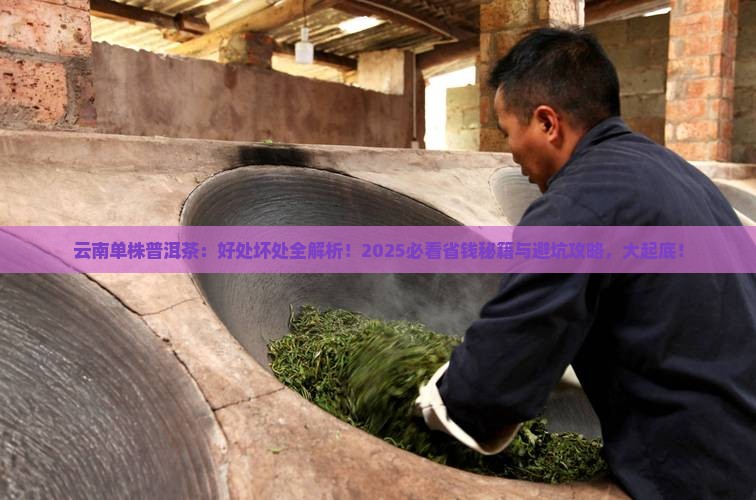 云南单株普洱茶好处和坏处