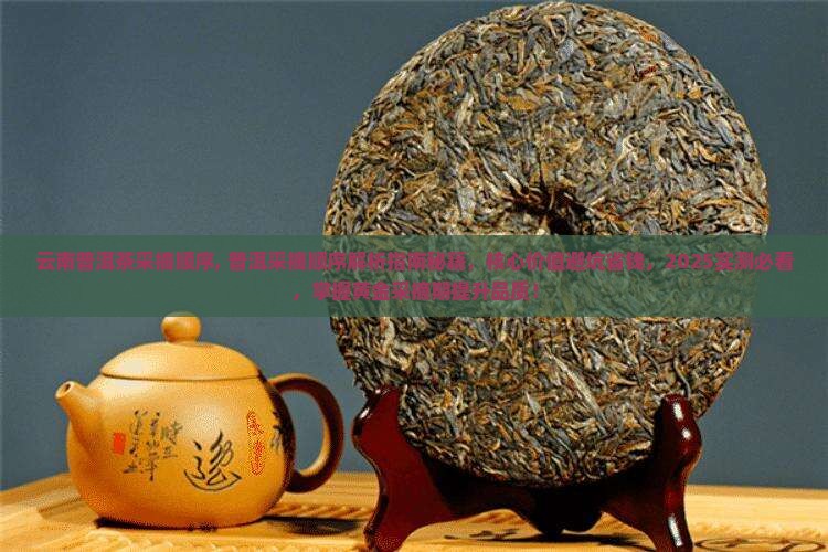 云南普洱茶采摘顺序