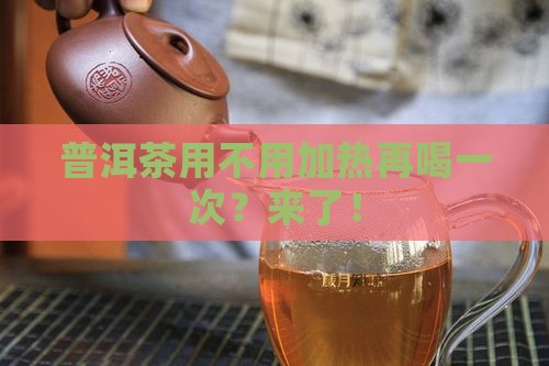 普洱茶用不用加热再喝一次