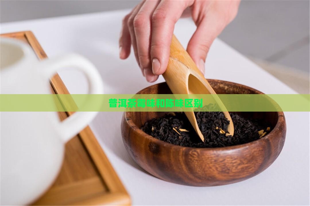 普洱茶霉味和陈味区别
