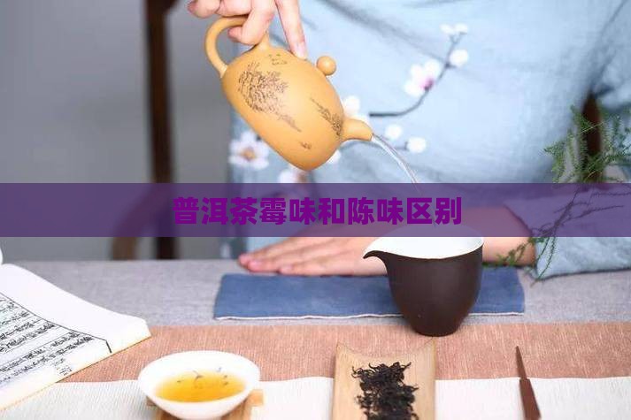普洱茶霉味和陈味区别