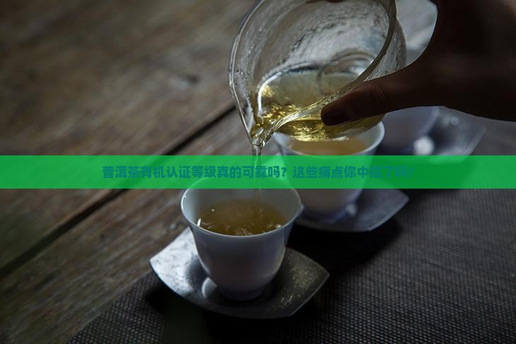 普洱茶有机认证等级