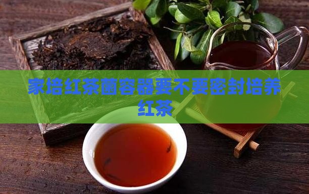 红茶菌的容器要不要密封