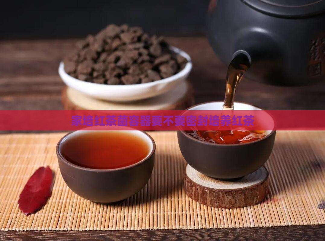 红茶菌的容器要不要密封