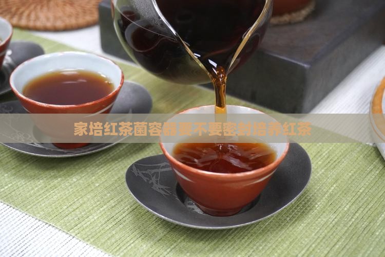 红茶菌的容器要不要密封