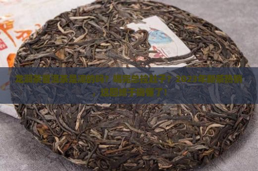 龙润茶普洱茶是凉的吗