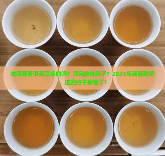 龙润茶普洱茶是凉的吗