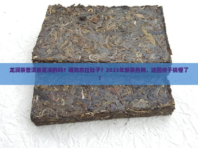 龙润茶普洱茶是凉的吗