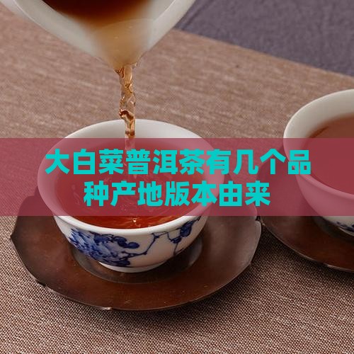 大白菜普洱茶有几个